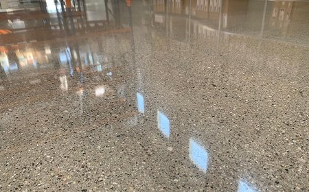 놀라운 테스트 : 콘크리트 바닥을 연마하는 mshine 대리석 패드